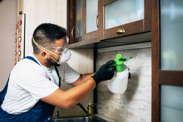 Best Residential Pest Control  in Concordia, MO