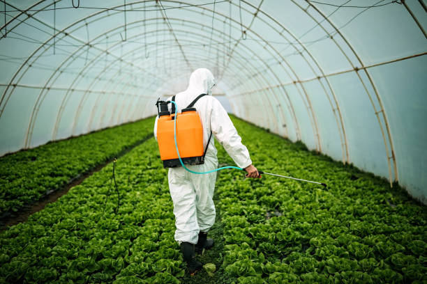 Pest Control Cost in Concordia, MO