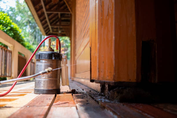 Wasp Removal Services in Concordia, MO