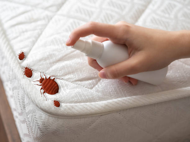 Best Residential Pest Control  in Concordia, MO