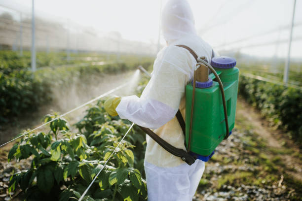 Reliable Concordia, MO Pest Control Solutions